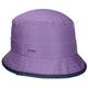 Chinese Violet