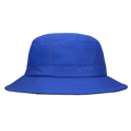 Dazzling Blue