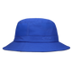 Dazzling Blue