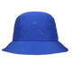 Dazzling Blue